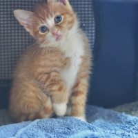 Photo of Kenny 