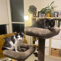 Photo of Sprout & Ferny (Located In Croydon South)