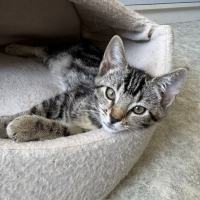 Photo of Liza   Located In Armadale