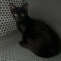 Photo of Tucker