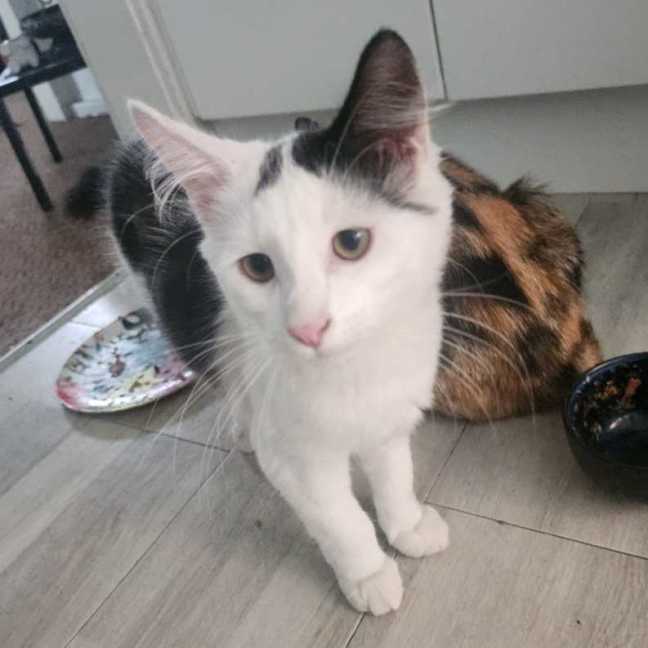 Photo of Charlie