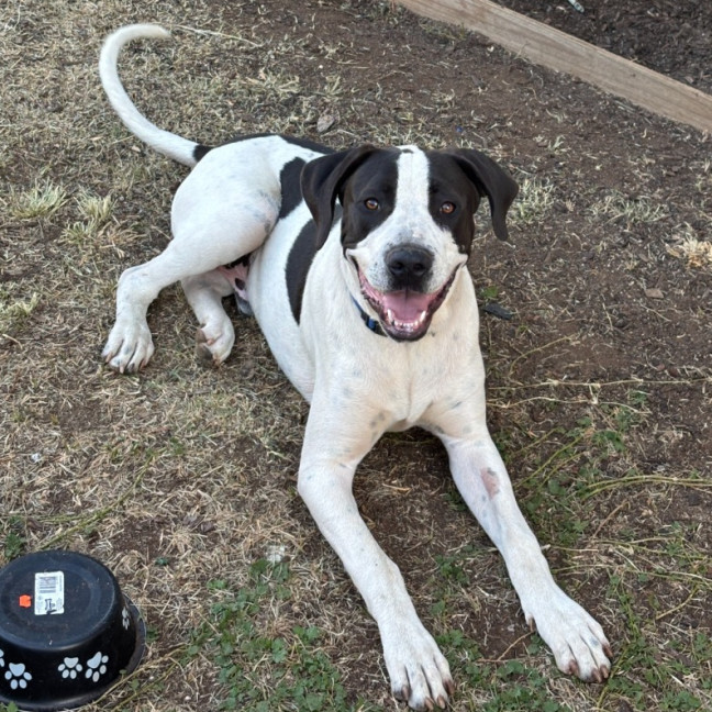 Photo of Sully