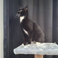 Photo of Spice
