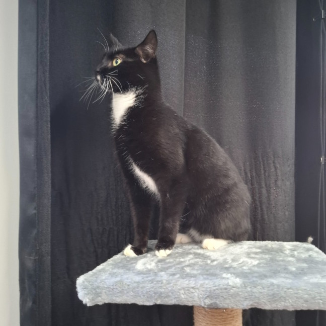 Photo of Spice