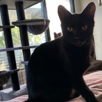 Photo of Kenickie (Nickie)