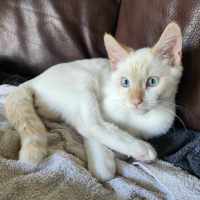 Photo of Bertie