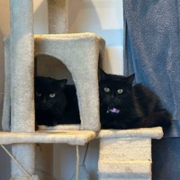 Photo of Zeb & Jett