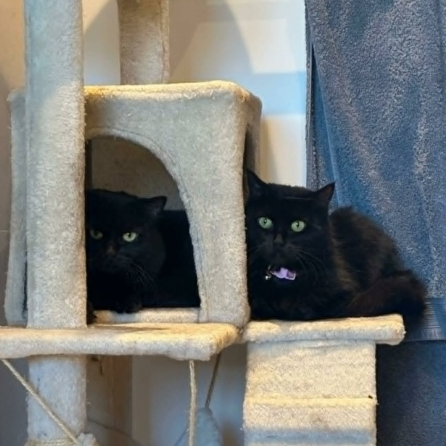 Photo of Zeb & Jett