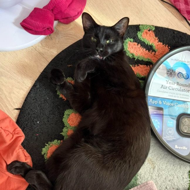 Photo of Nova