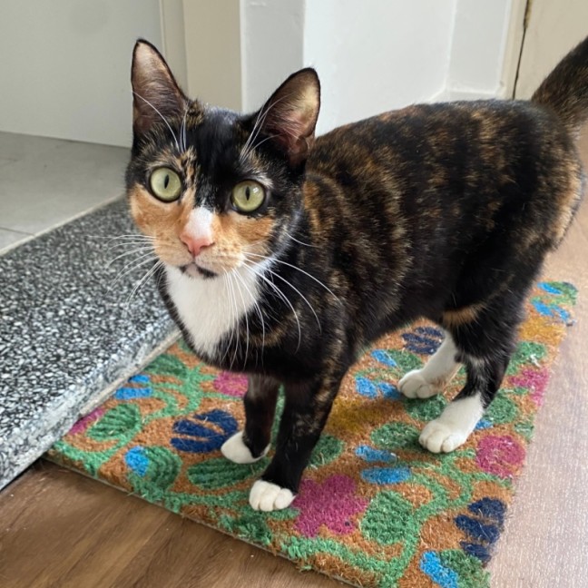 Photo of Lysandra And Aelin