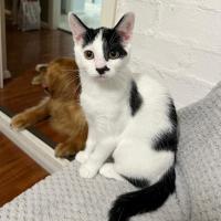 Photo of Charlie