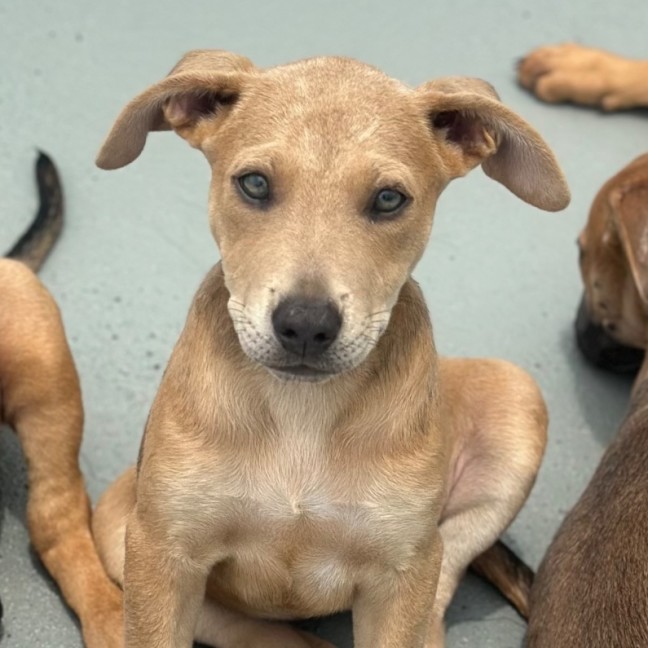 Photo of Payton ⭐️🌈🦋