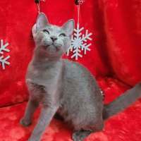 Photo of Sylvie