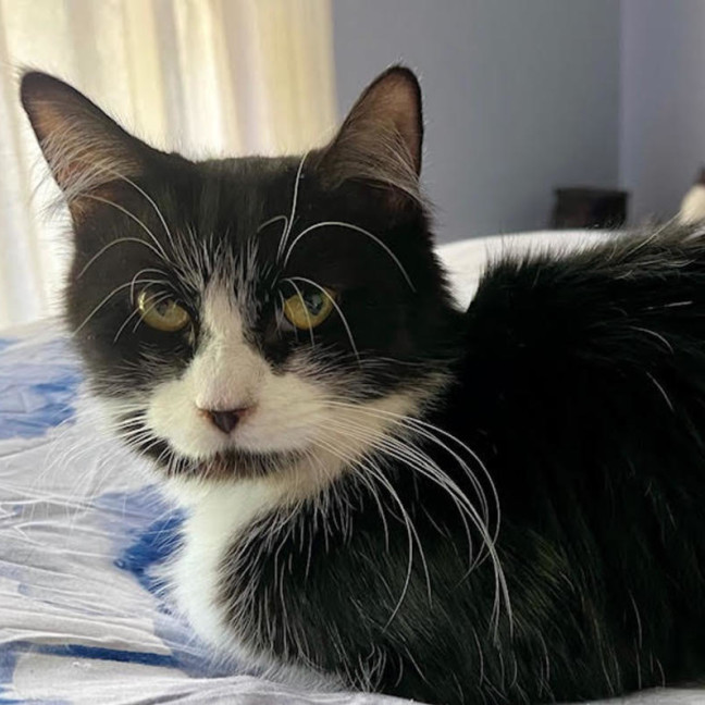 Photo of Nichaud & Paris