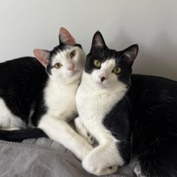 Photo of Leo & Mighalo