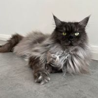 Photo of 🤍 Magritte 🤍