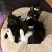 Photo of Charlotte & Benson