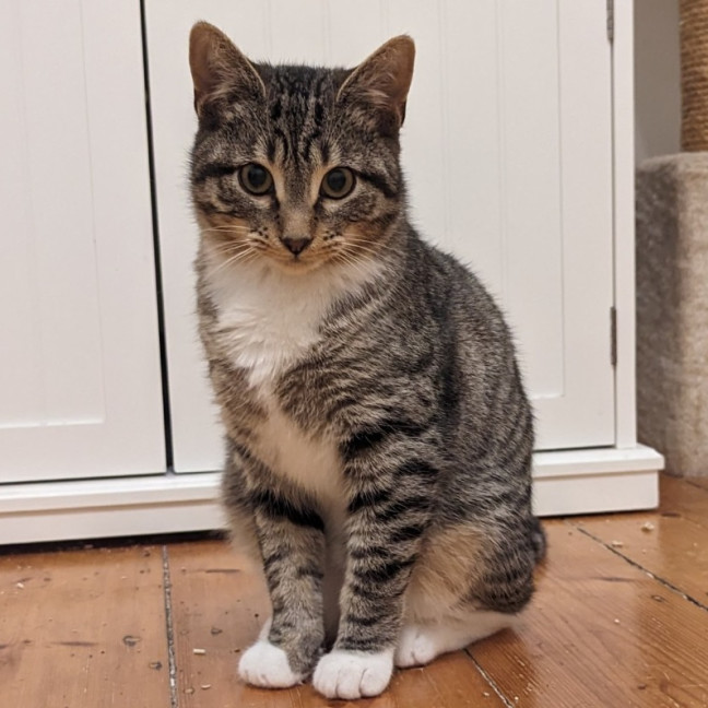 Photo of Promise