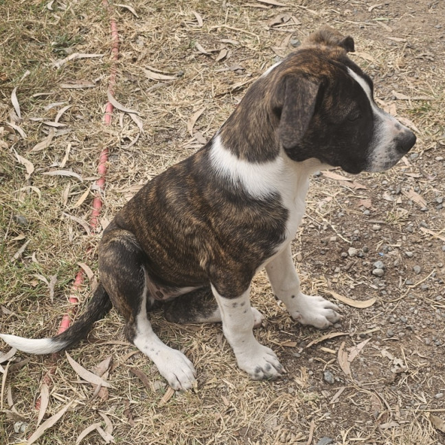 Photo of Molly