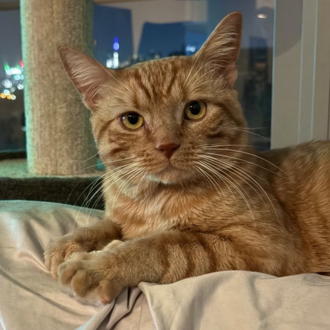 Photo of Percy