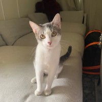 Photo of Honey