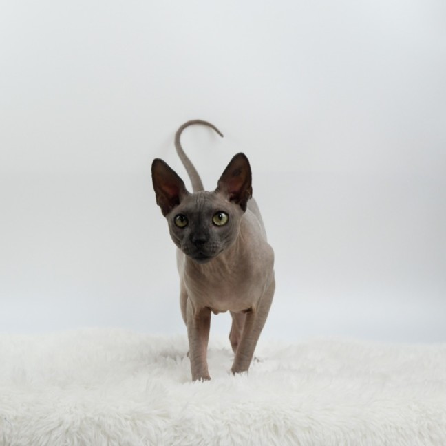 Photo of Mr Bobinsky