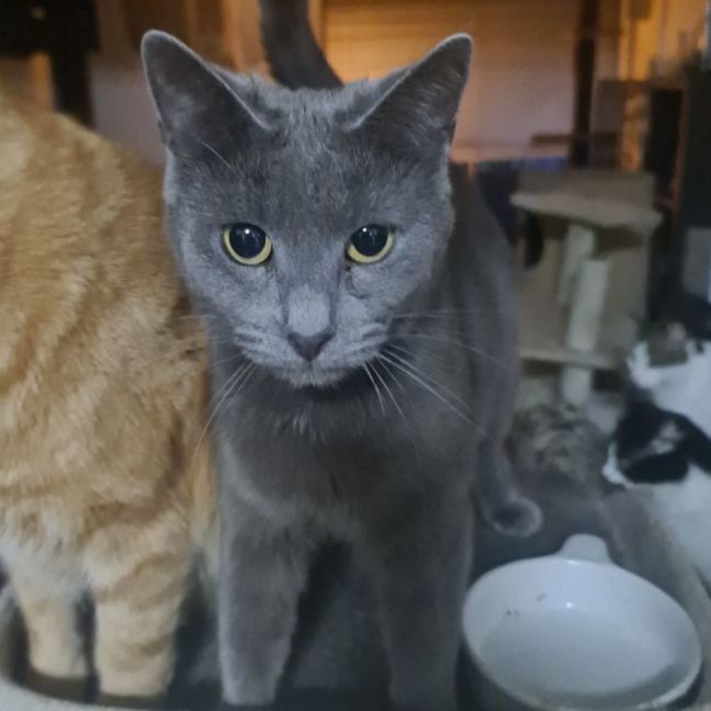 Photo of Felicia 🌹