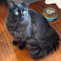 Photo of Max