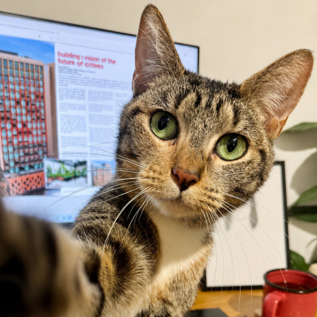 Photo of Mimi