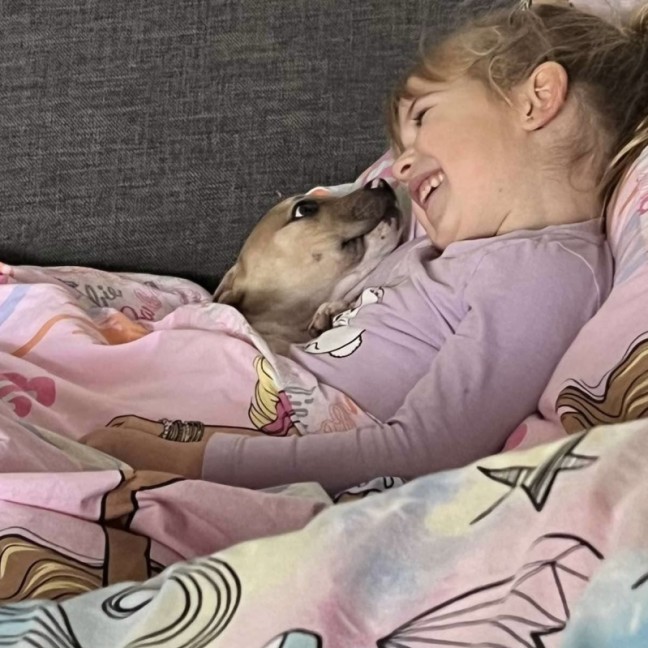 Photo of Jasper 🐾🐾🐾💙