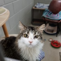 Photo of Nellie