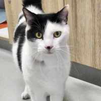 Photo of 🎠 Clancy 5624 🎠