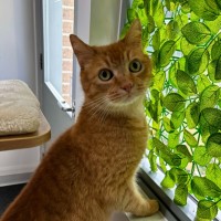 Photo of 🧡 Ed 5587 🧡