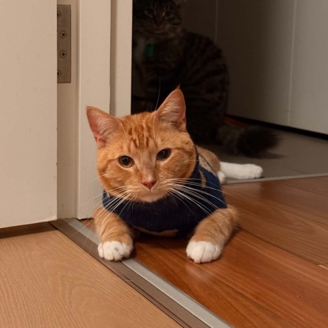 Photo of Jerry
