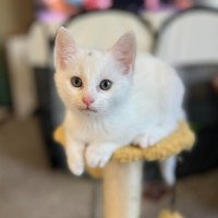 Photo of Freckle