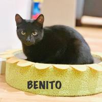 Photo of Benito & Maya