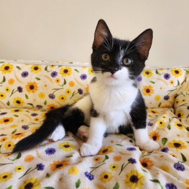 Photo of Moira
