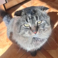Photo of Leo