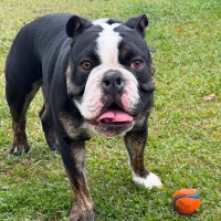 Photo of Max