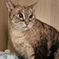 Photo of C1498 Bernie