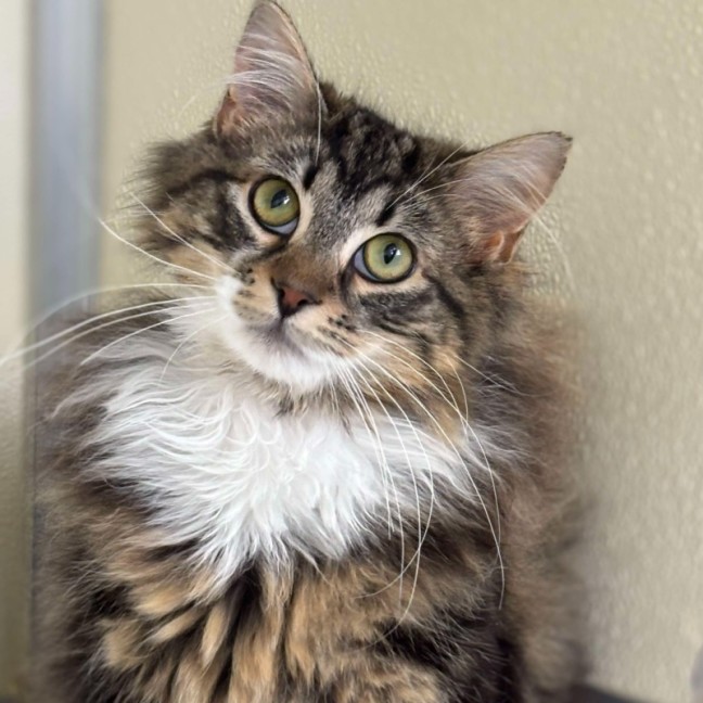 Photo of 🥼 Jesse 5511 🥼