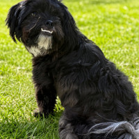 Photo of Lando