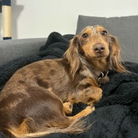 Photo of Oakleigh