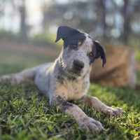 Photo of Tarrant Hightopp