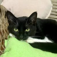 Photo of 🖤 Suki 🖤