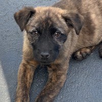 Photo of Betty 🎾🌹