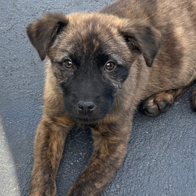 Photo of Betty 🎾🌹