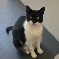 Photo of Cleopatra