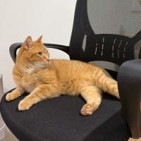 Photo of Mozilla Firefox