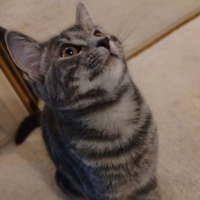 Photo of Diana 